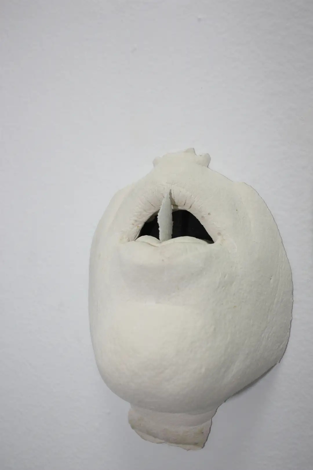 AN_17-Bocahostia (1)