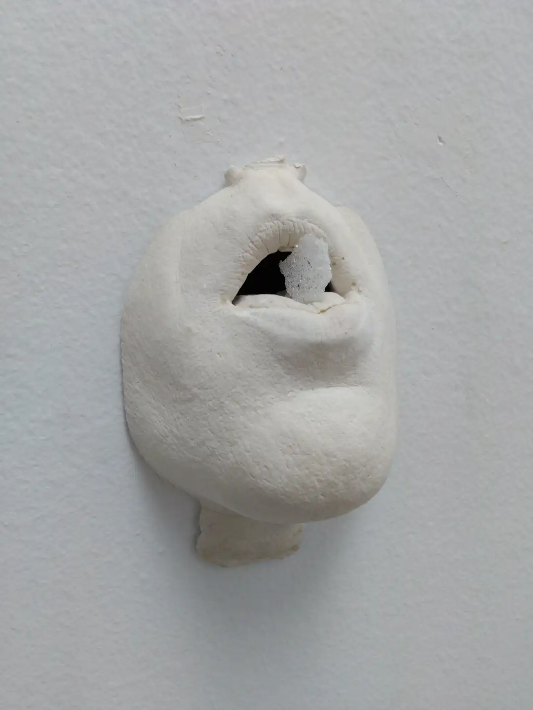 AN_17-Bocahostia (2)