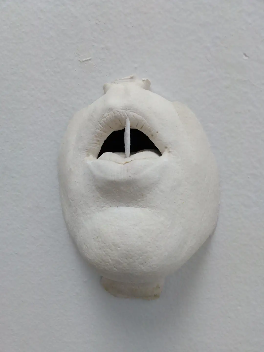 AN_17-Bocahostia (3)