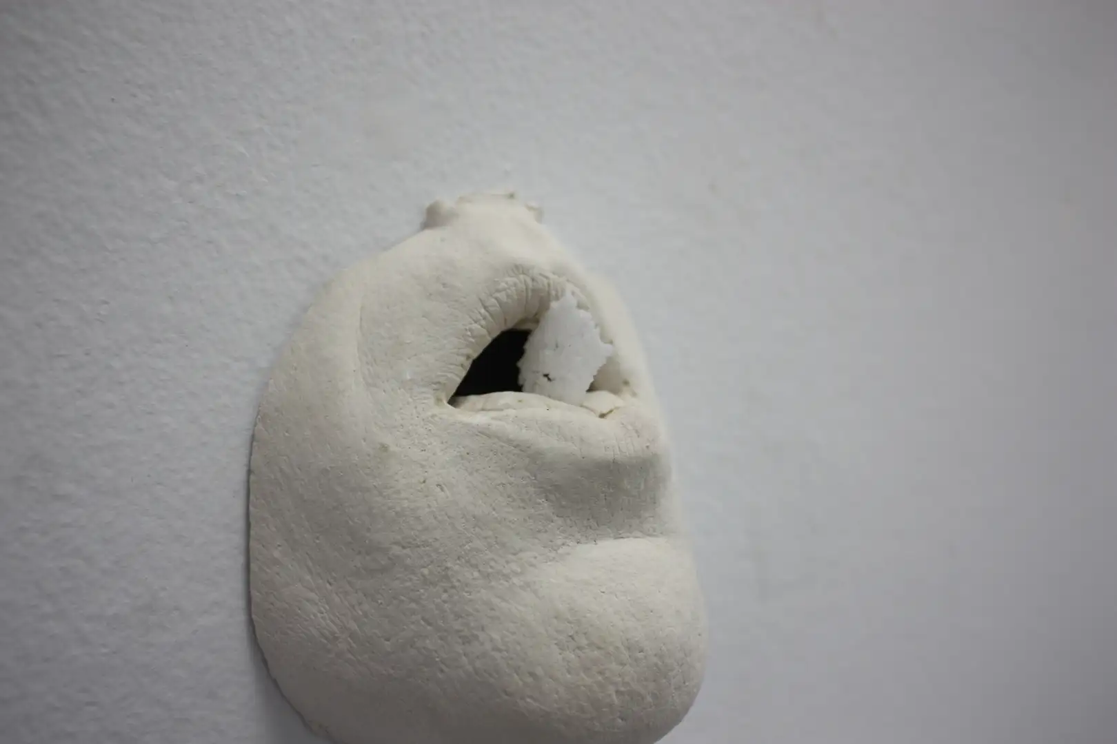 AN_17-Bocahostia (7)