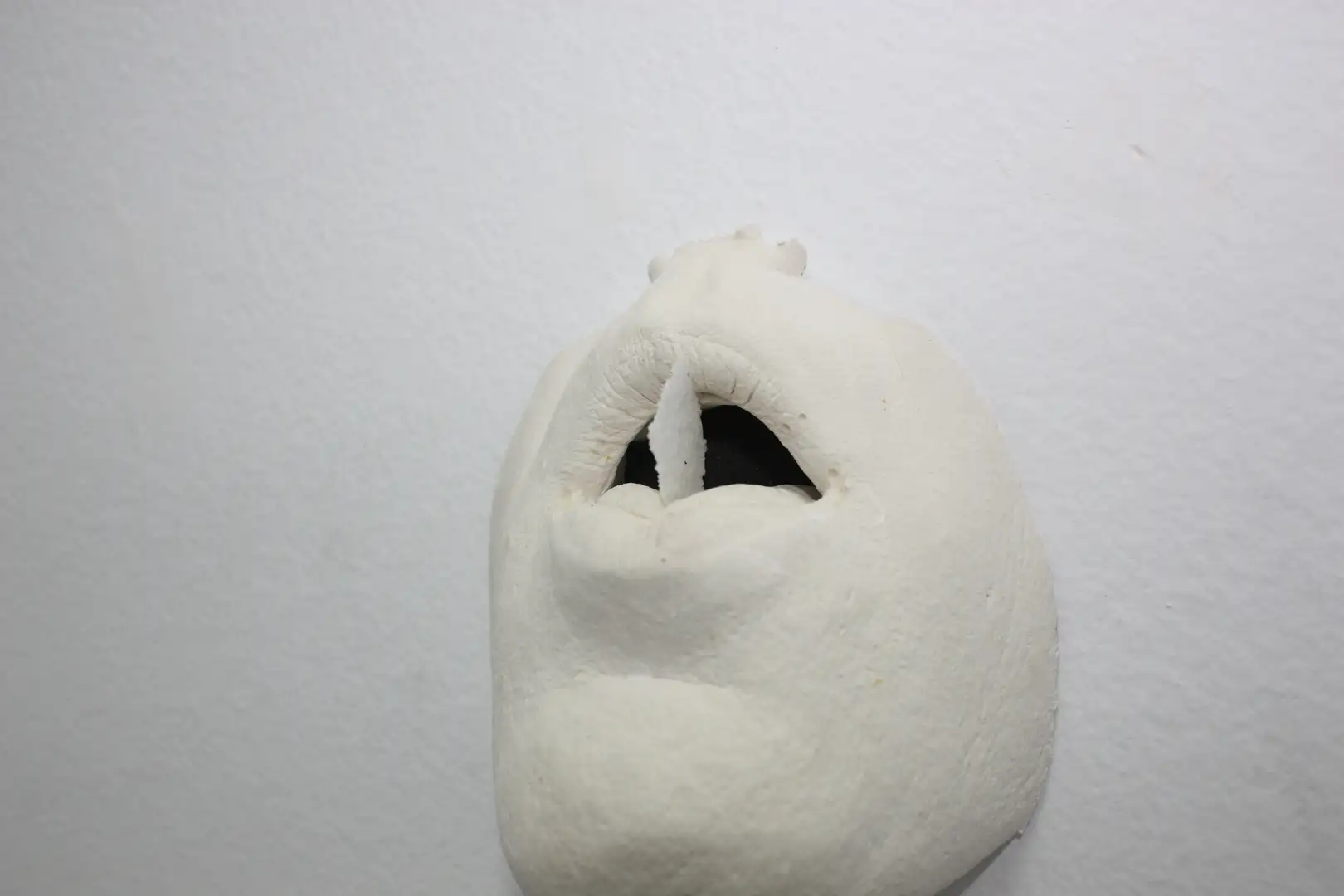 AN_17-Bocahostia (8)