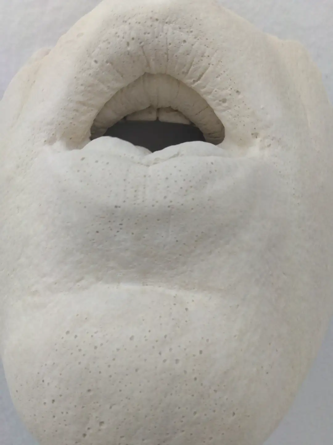 AN_18_Bocadientes (2)