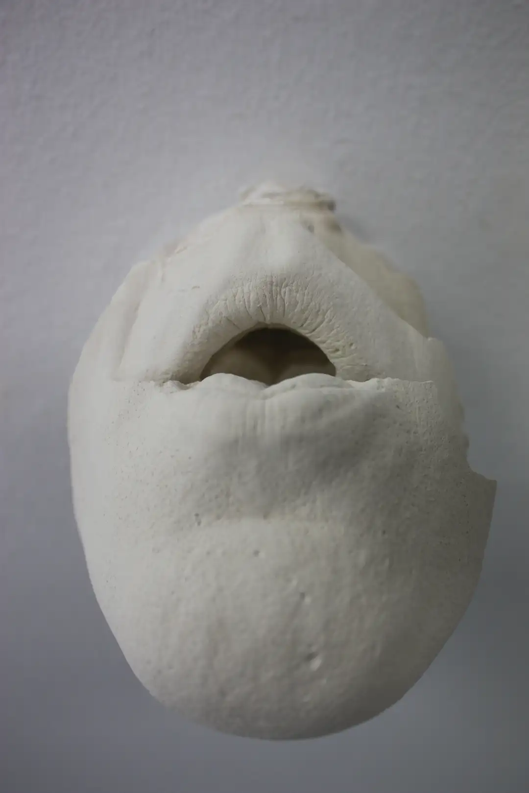 AN_18_Bocadientes (4)