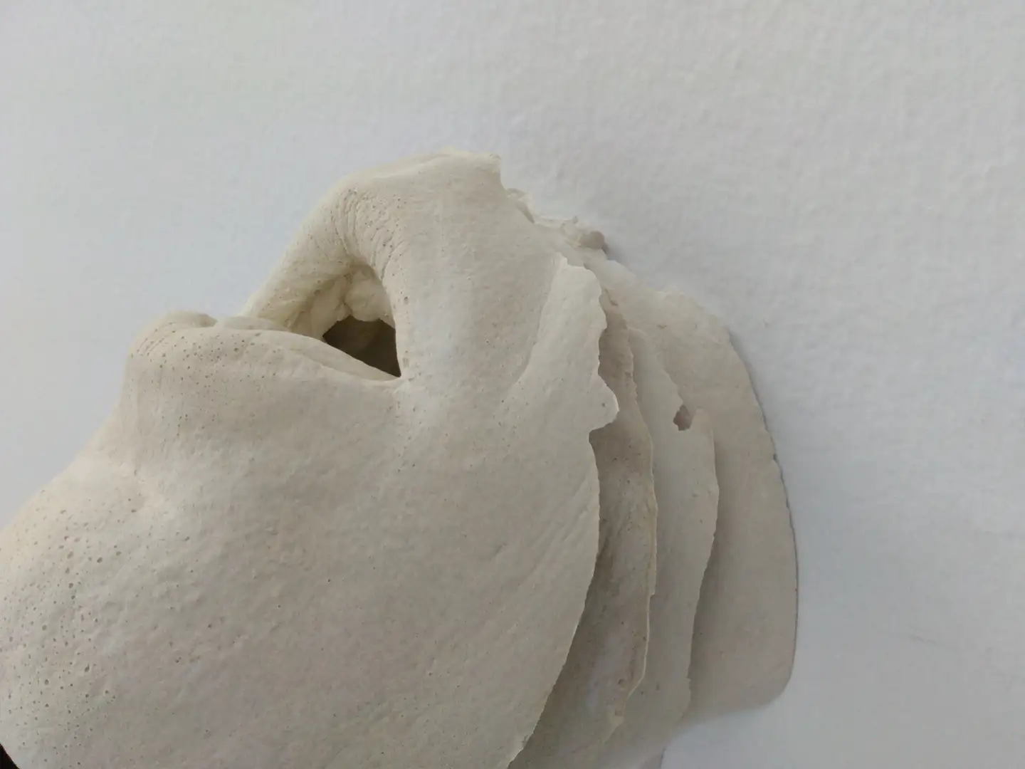 AN_19_Bocacuatro (3)