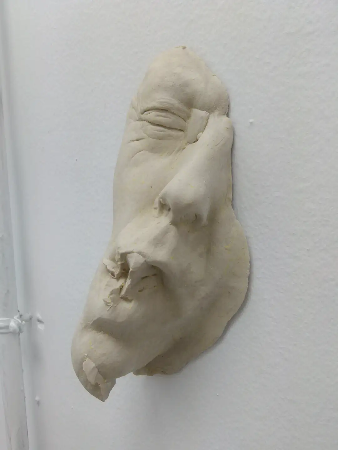 AN_20_Rostroboca (7)