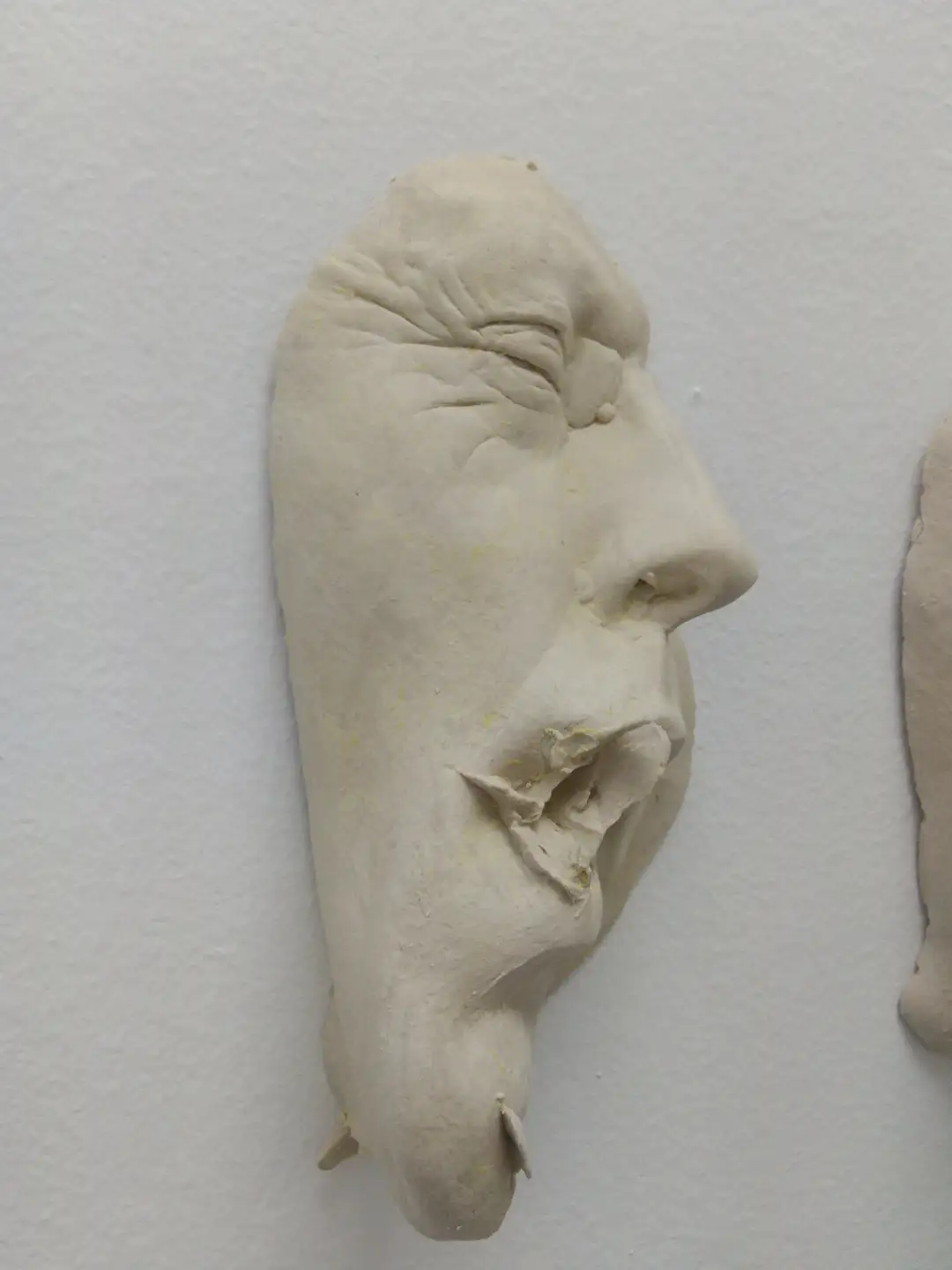 AN_20_Rostroboca (8)