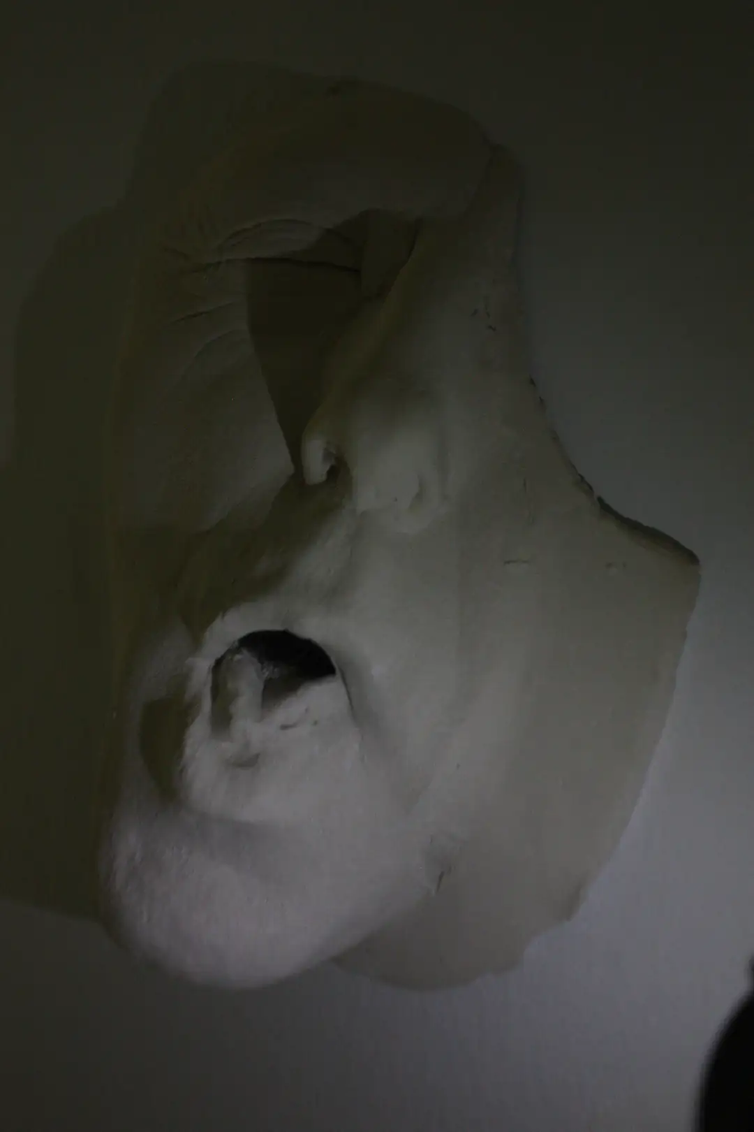 AN_30_ Rostroboca (1)