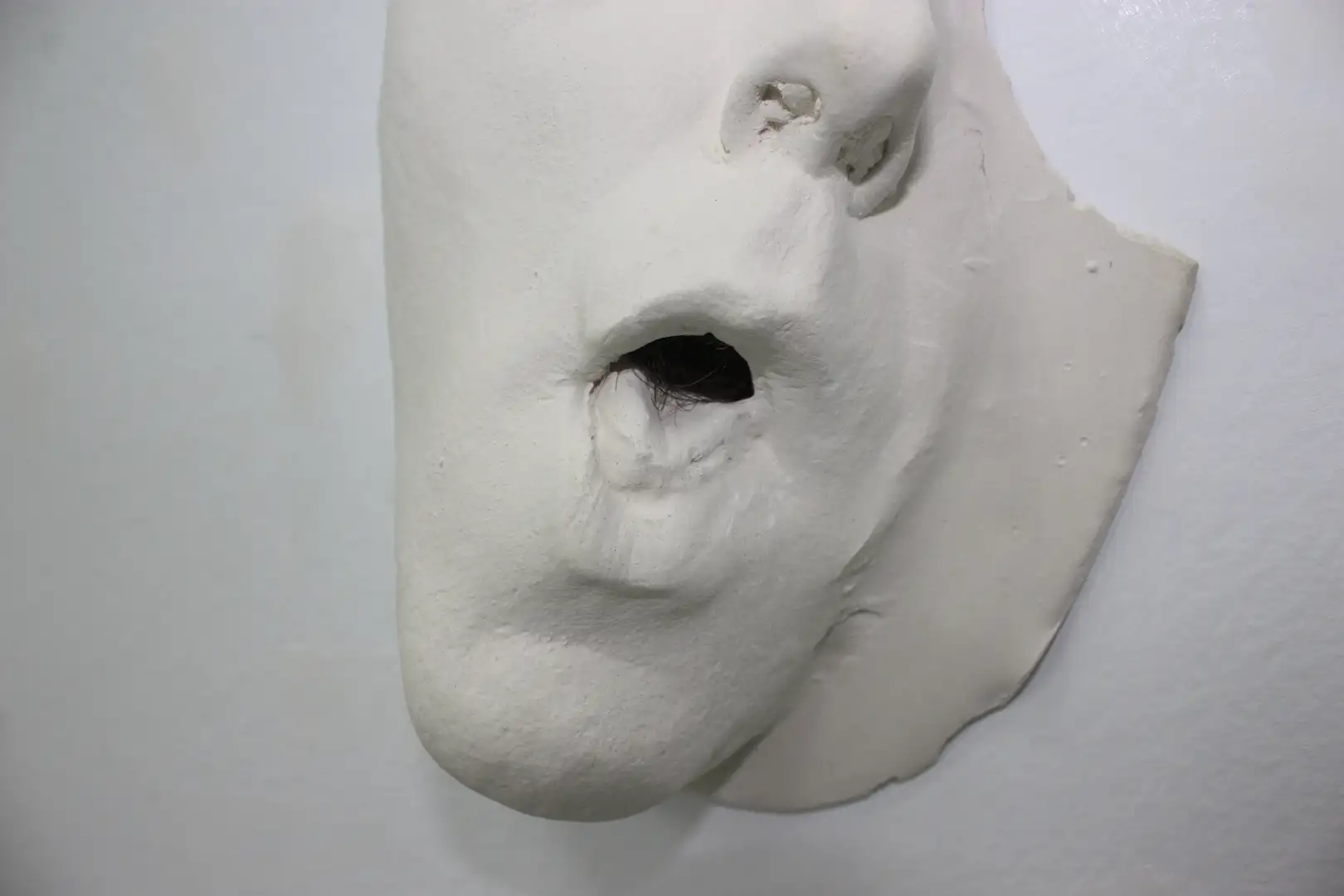 AN_30_ Rostroboca (10)