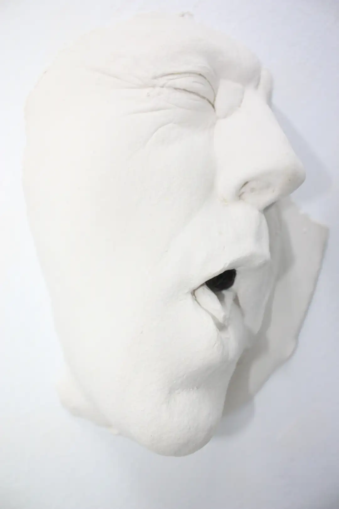 AN_30_ Rostroboca (11)