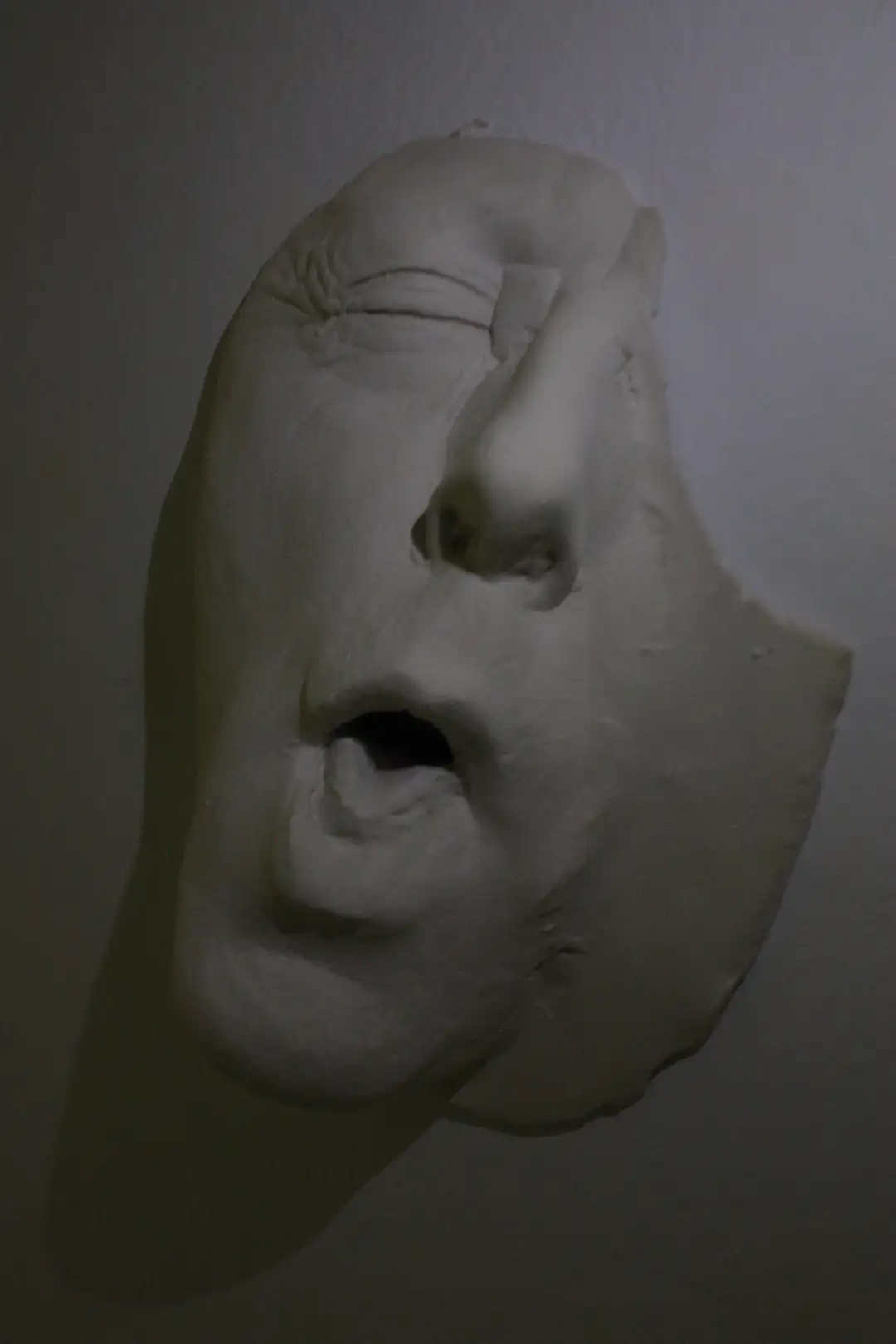 AN_30_ Rostroboca (2)