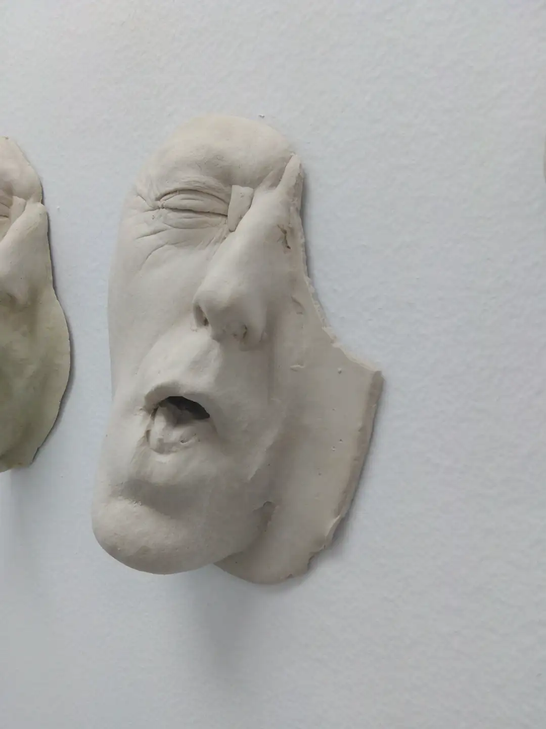 AN_30_ Rostroboca (3)