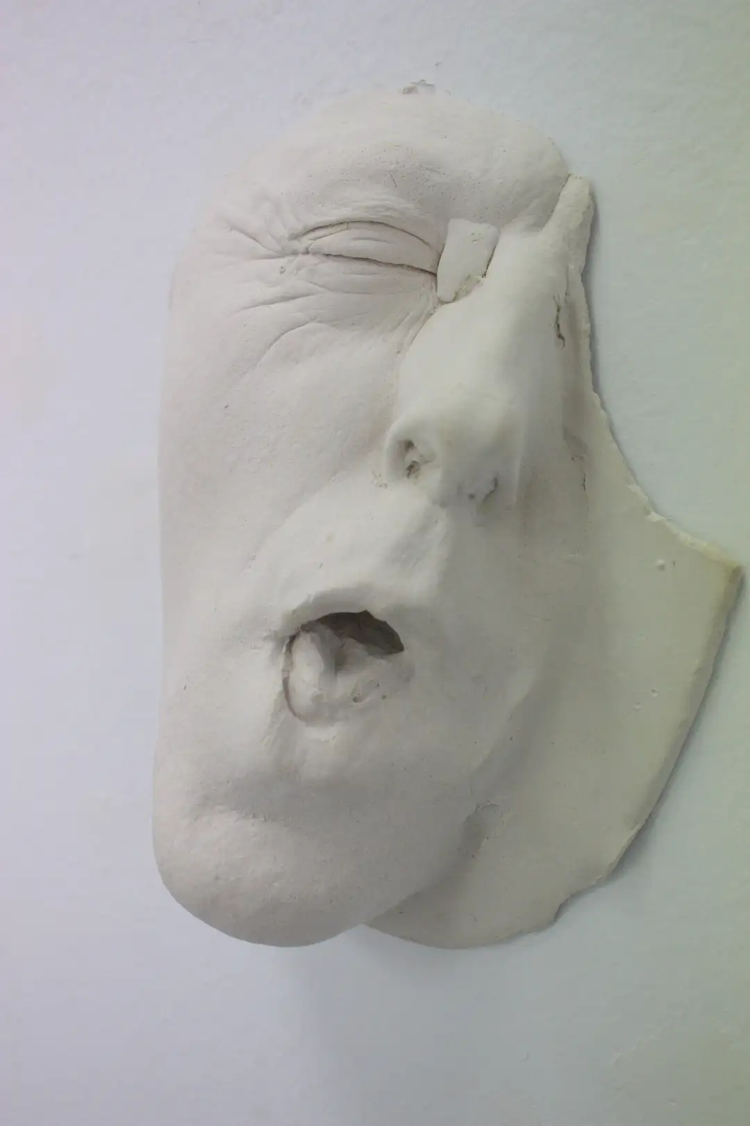 AN_30_ Rostroboca (5)