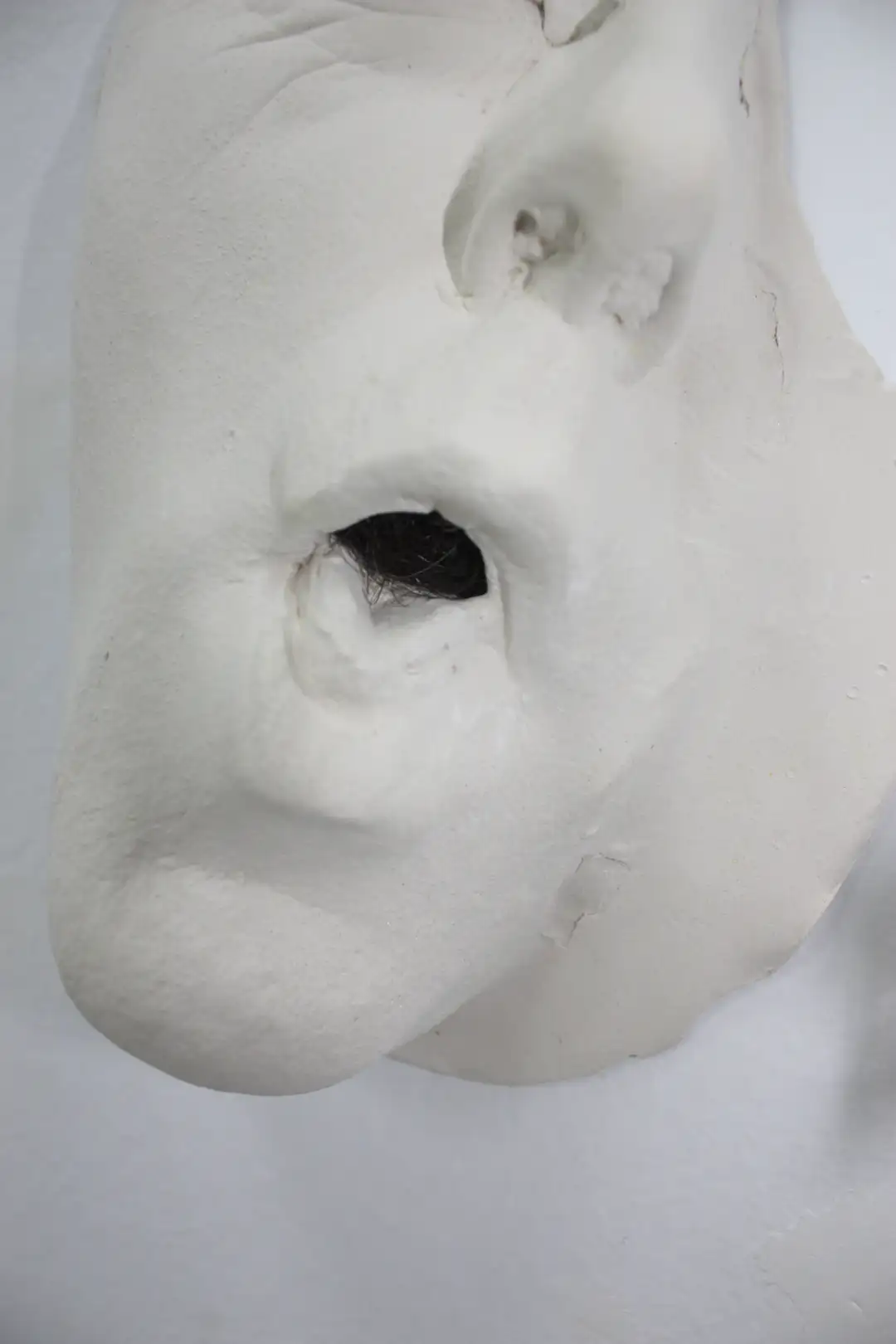 AN_30_ Rostroboca (9)