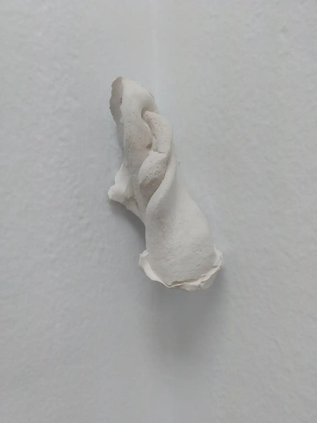 AN_3_Bocaclítoris 1