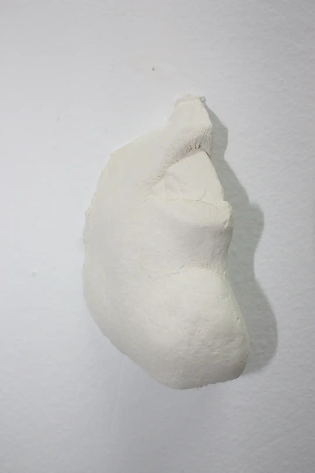 AN_4_Bocadeforme (3)