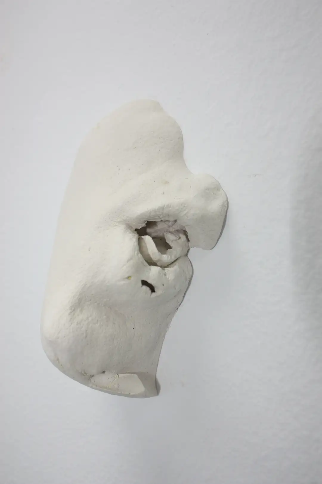 AN_7_Bocasinnariz 8 (1)