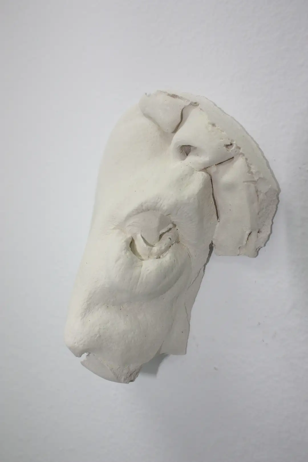 AN_7_Bocasinnariz 8 (2)