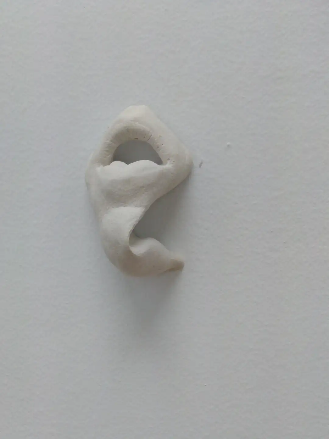 AN_8_Bocalombriz (1)