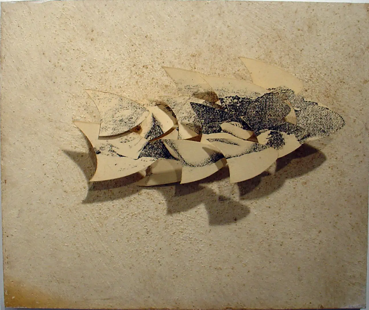 FS_16-Memoria_Borradora(detalle)_(2010)_Impreson_fotografica_tela