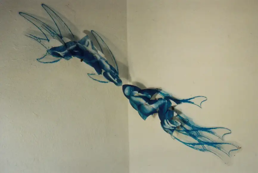 FS_Donde_menos_te esperaba_02_(2002)_Impreson_fotografica_tela