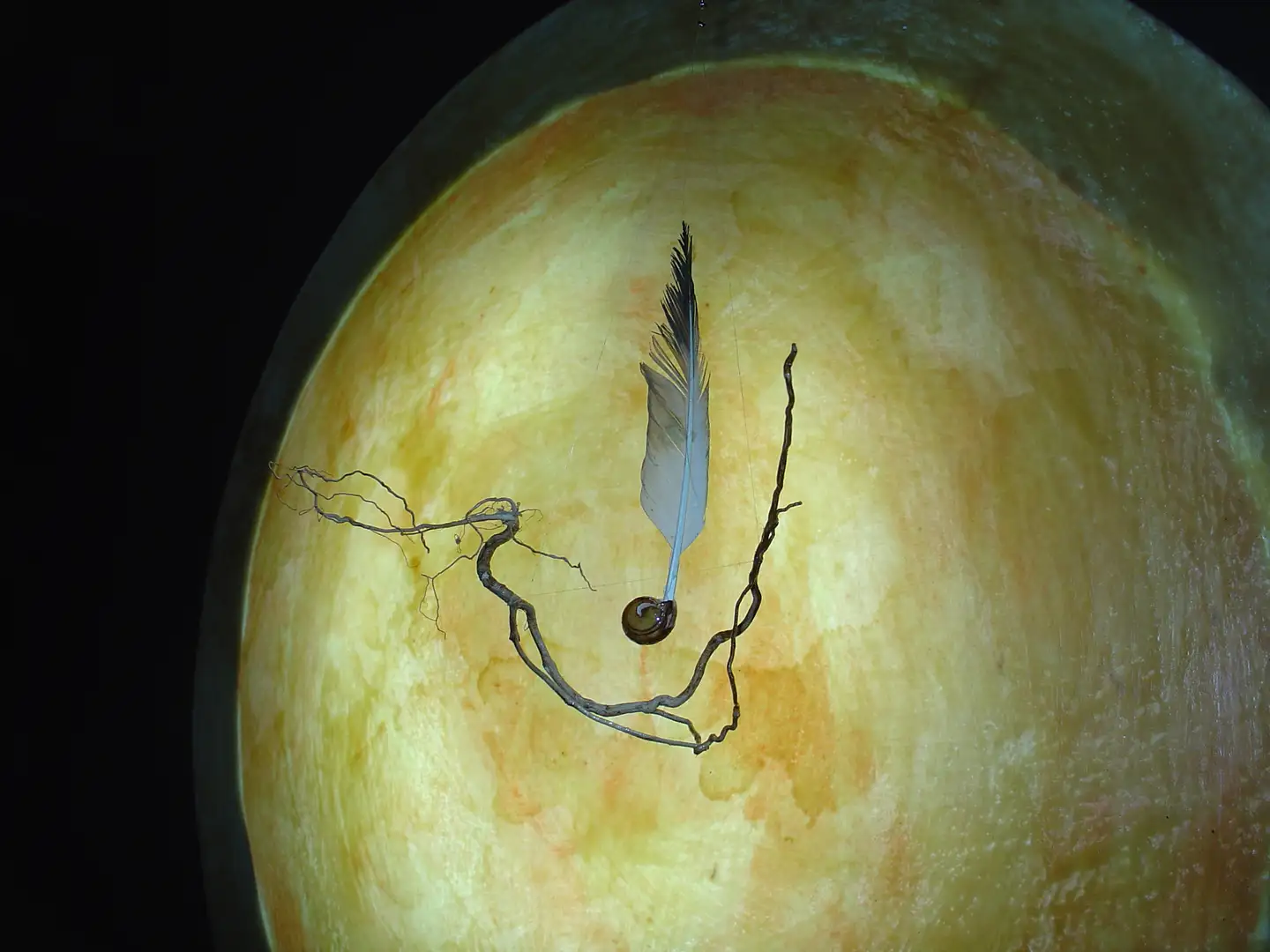 FS_Luna_y_velero_(2010)_Tela_retroiluminada_raiz_pluma_caracol_a