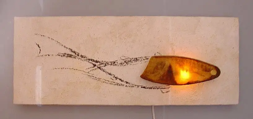 FS_pez-cuerpo-luz_(2009)_20x35cm__transferencia_fotografica_tela_retroiluminada_sobre_tabla