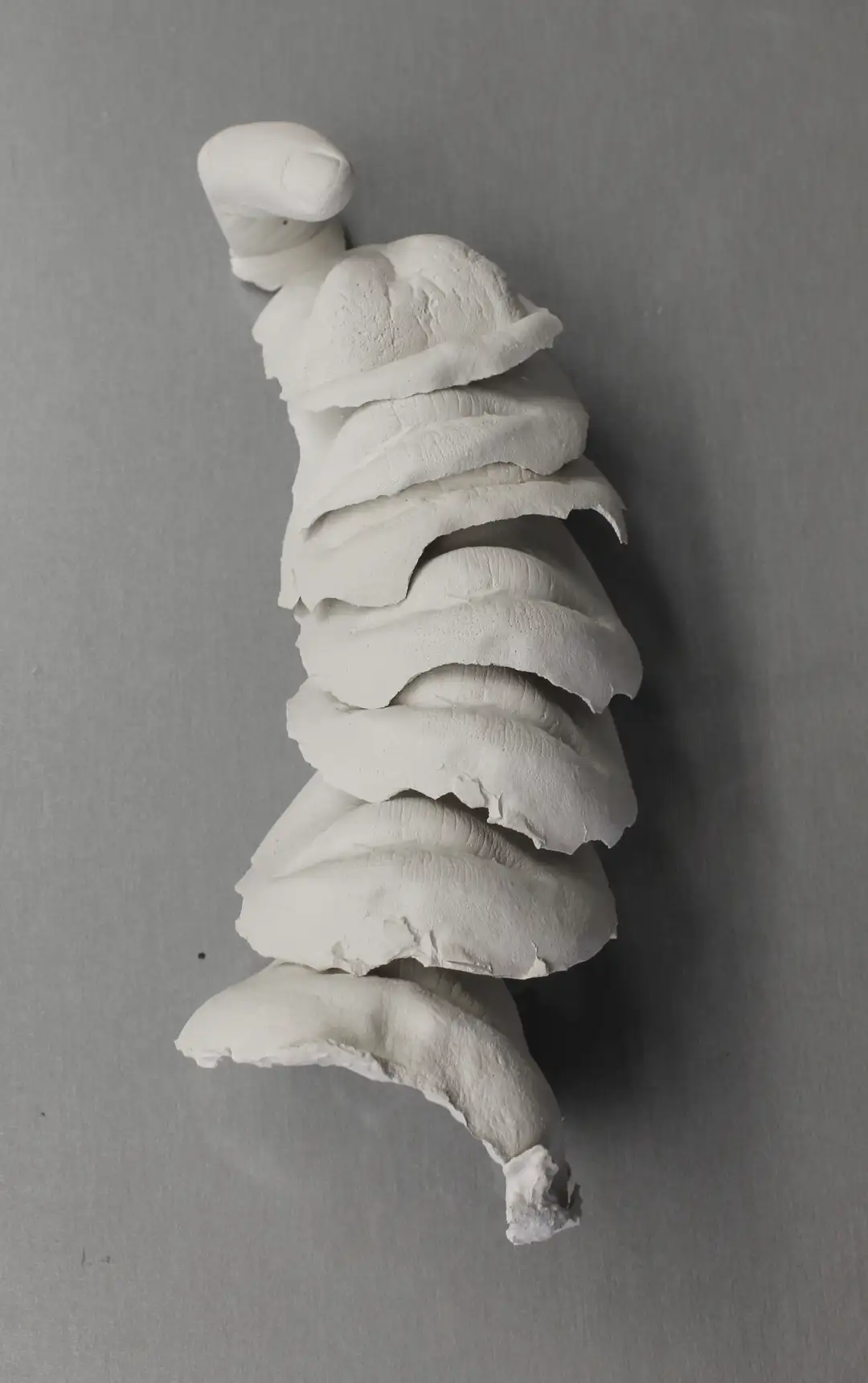 GV_015 Del dicho al hecho