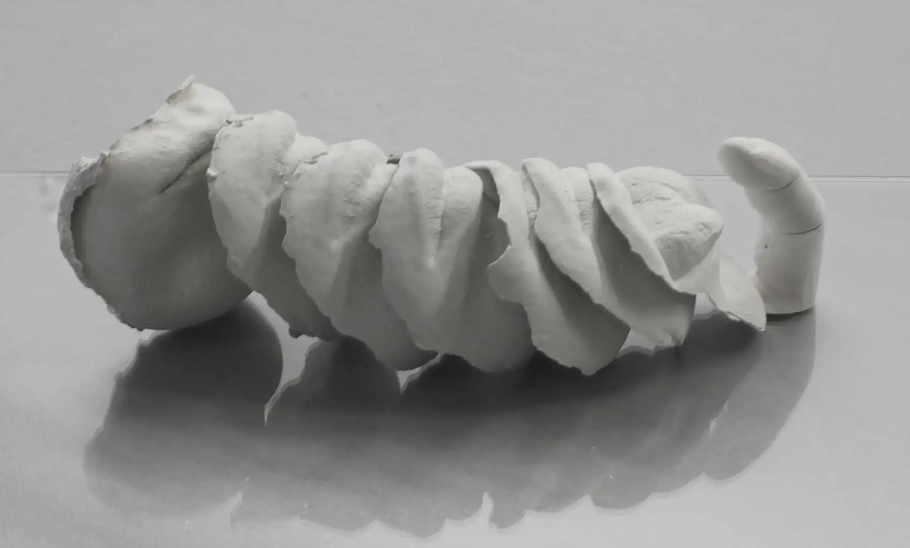 GV_016 Del dicho al hecho