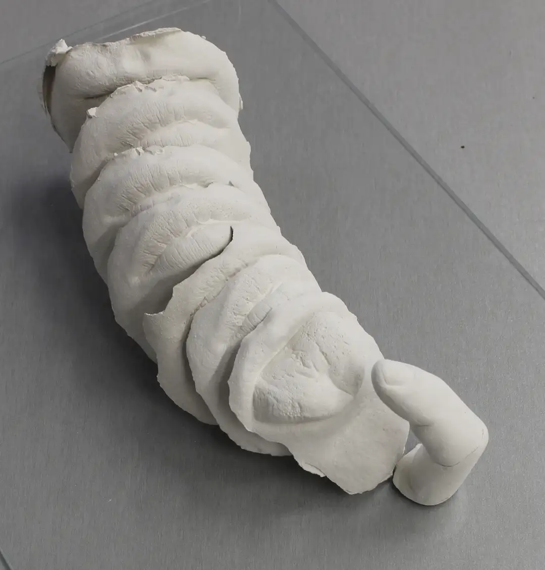 GV_017 Del dicho al hecho