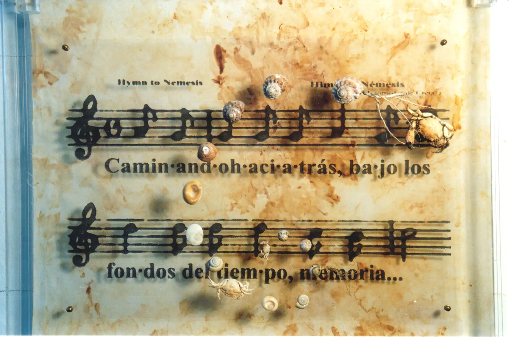 MU_F.NÉMESIS. 000. Himno a Némesis 1_38x48cm_Col_particular