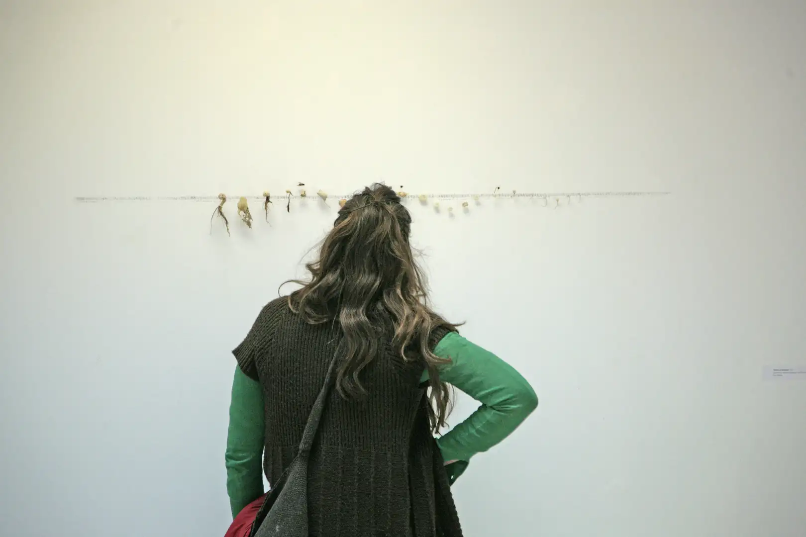 MU_Música_(2017)_Z03_elementos naturales y partitura_sobre_pared_mediadas_variables_