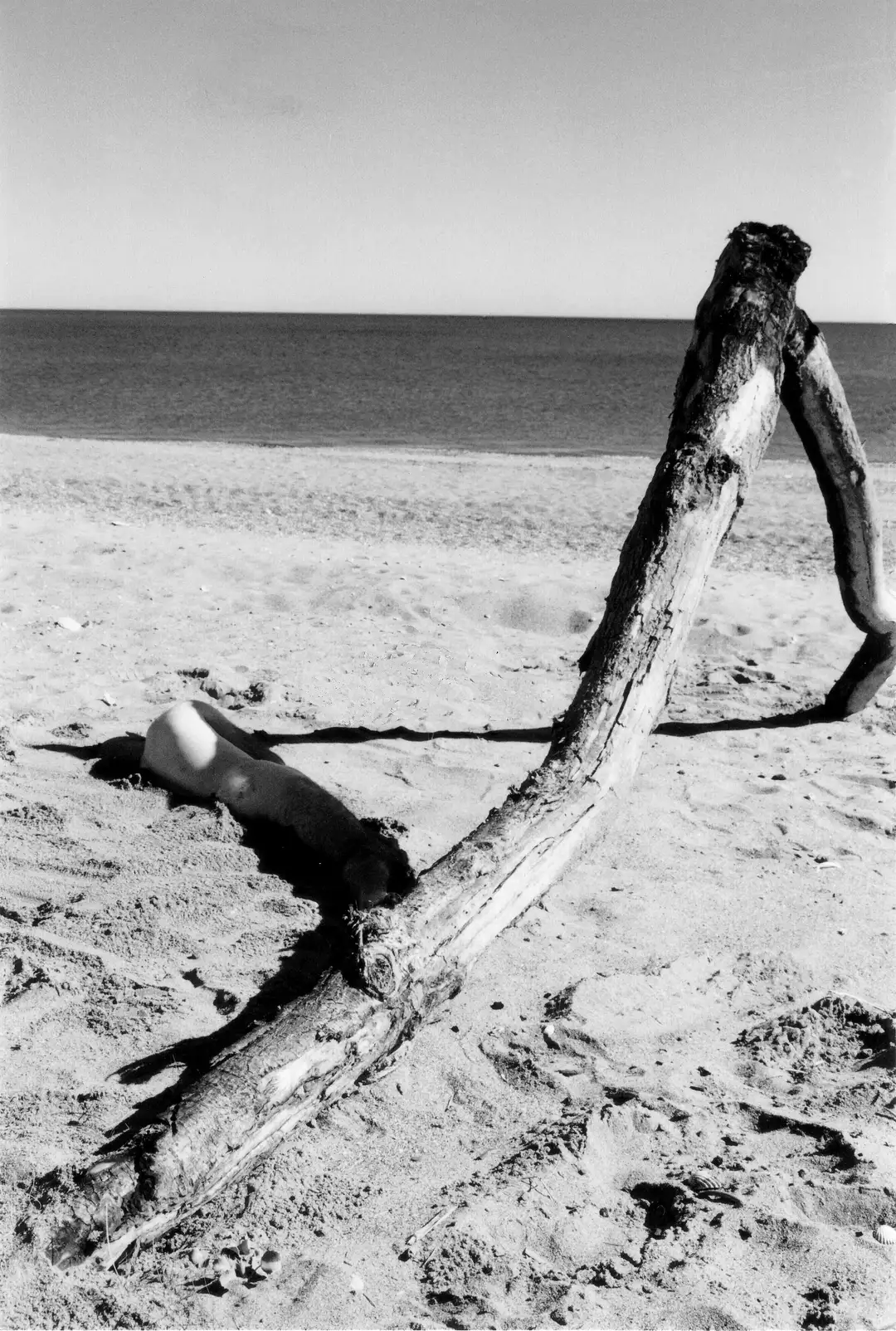 NX_04.INFINITO 2 color