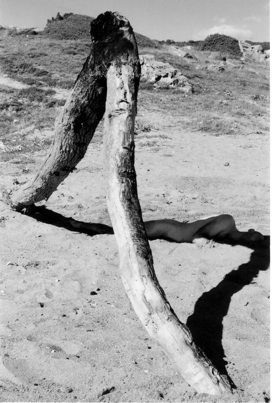 NX_04.NEXUS. INFINITO 1 BN