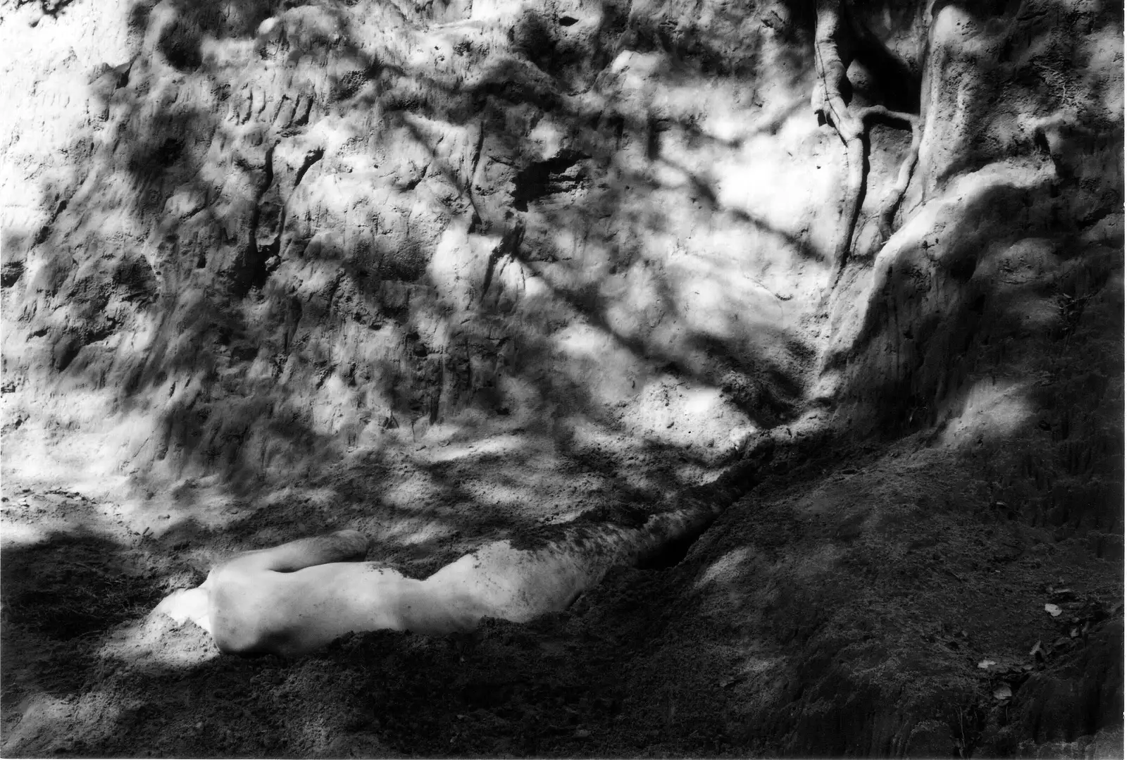 NX_05.NEXUS. RAÍZ 1