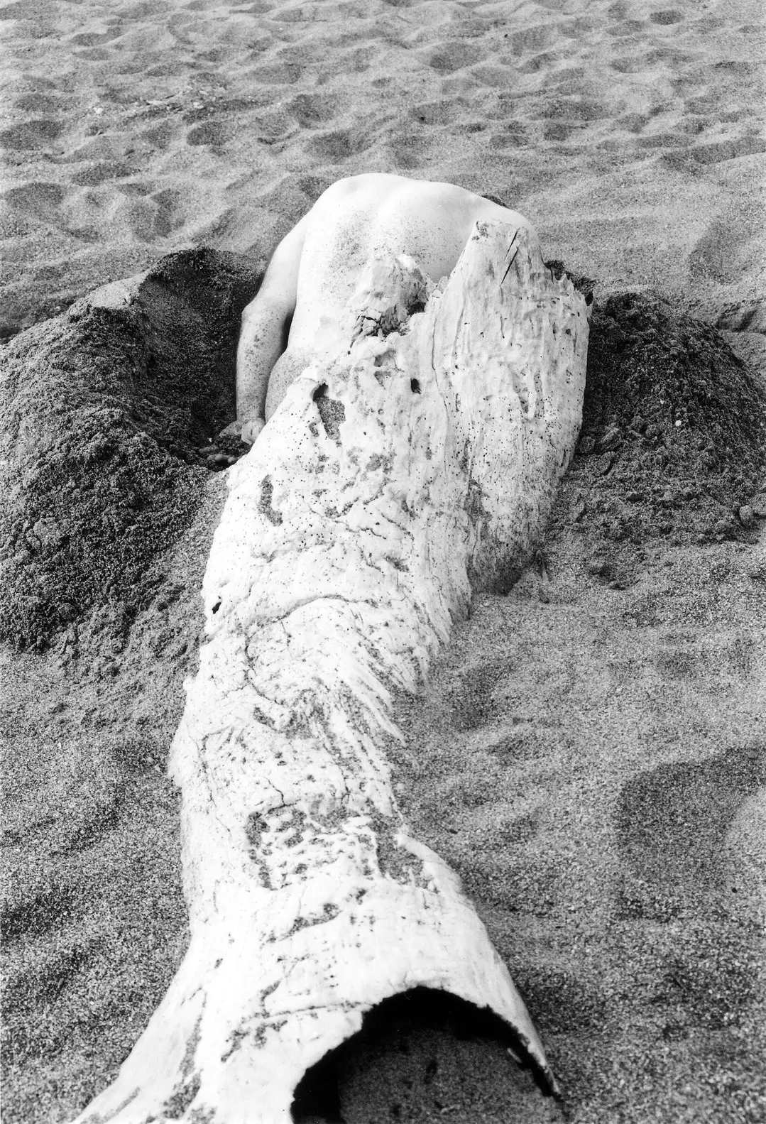 NX_09.NEXUS. tritón 003