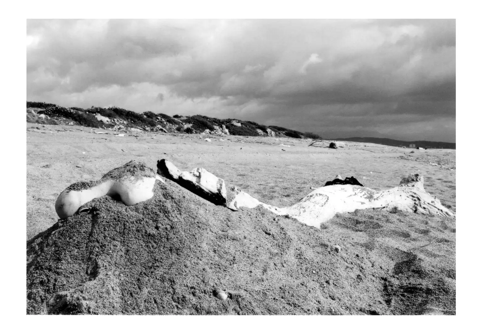 NX_09.NEXUS. tritón 004