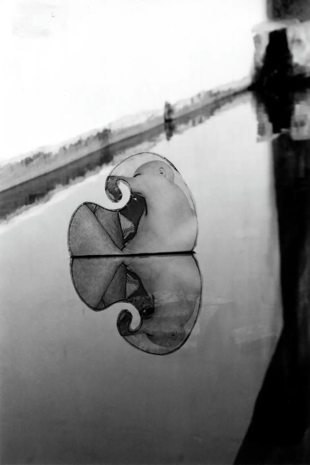 NX_Corpus_del_agua(2002)fotografria_en_acetato_alambre_corcho_medidas_varias