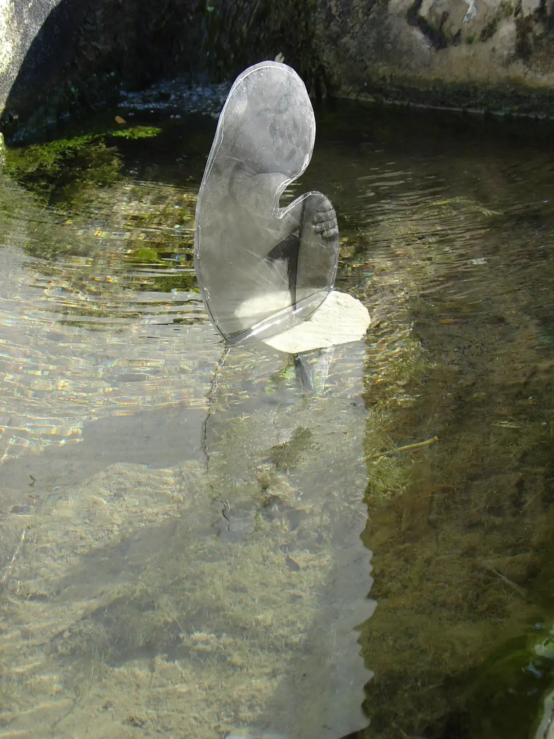 NX_Corpus_del_agua(2004)fotografria_en_acetato_alambre_corcho_medidas_varias