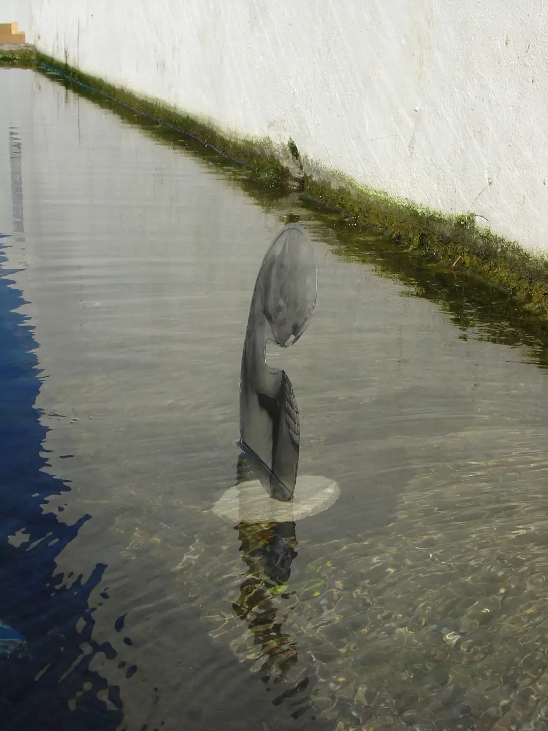 NX_Corpus_del_agua(2005)fotografria_en_acetato_alambre_corcho_medidas_varias