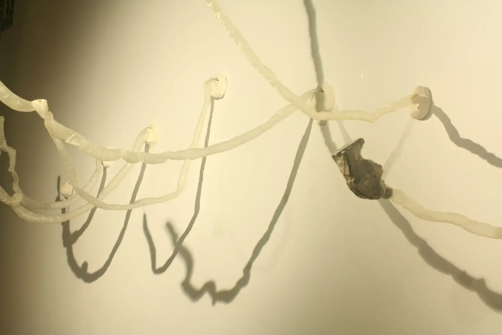 VB_08_(DETALLE_INDIGESTIÓN_MENTAL)