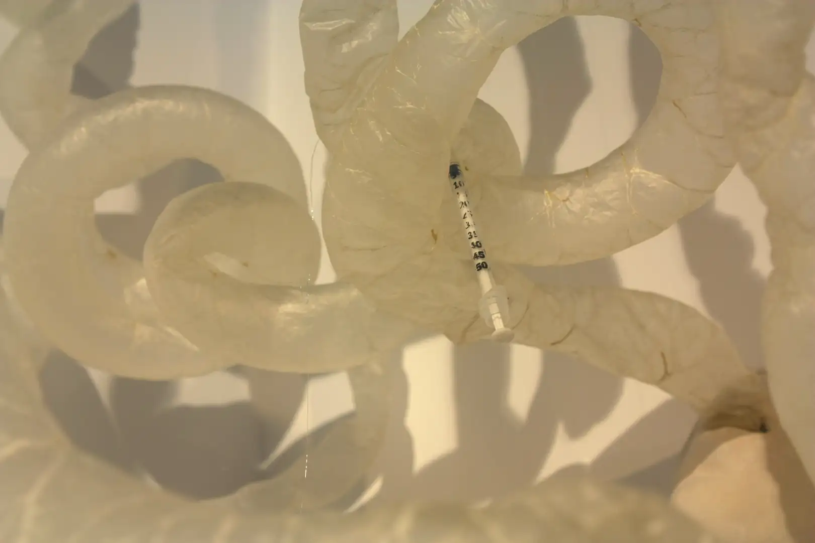 VB_09_(DETALLE_TRIPAS)