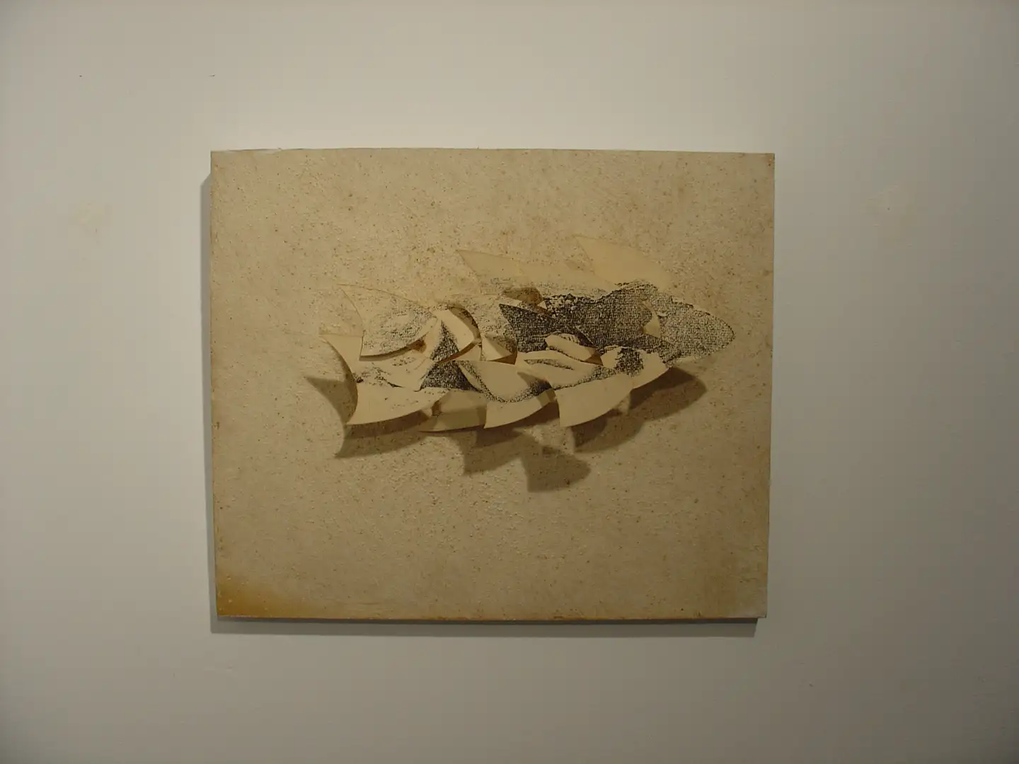 WH_16-Memoria Borradora3_(2010)_30X20CM_B