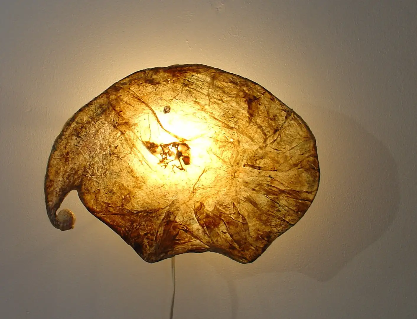 WH_24-Memoria Fosilizada