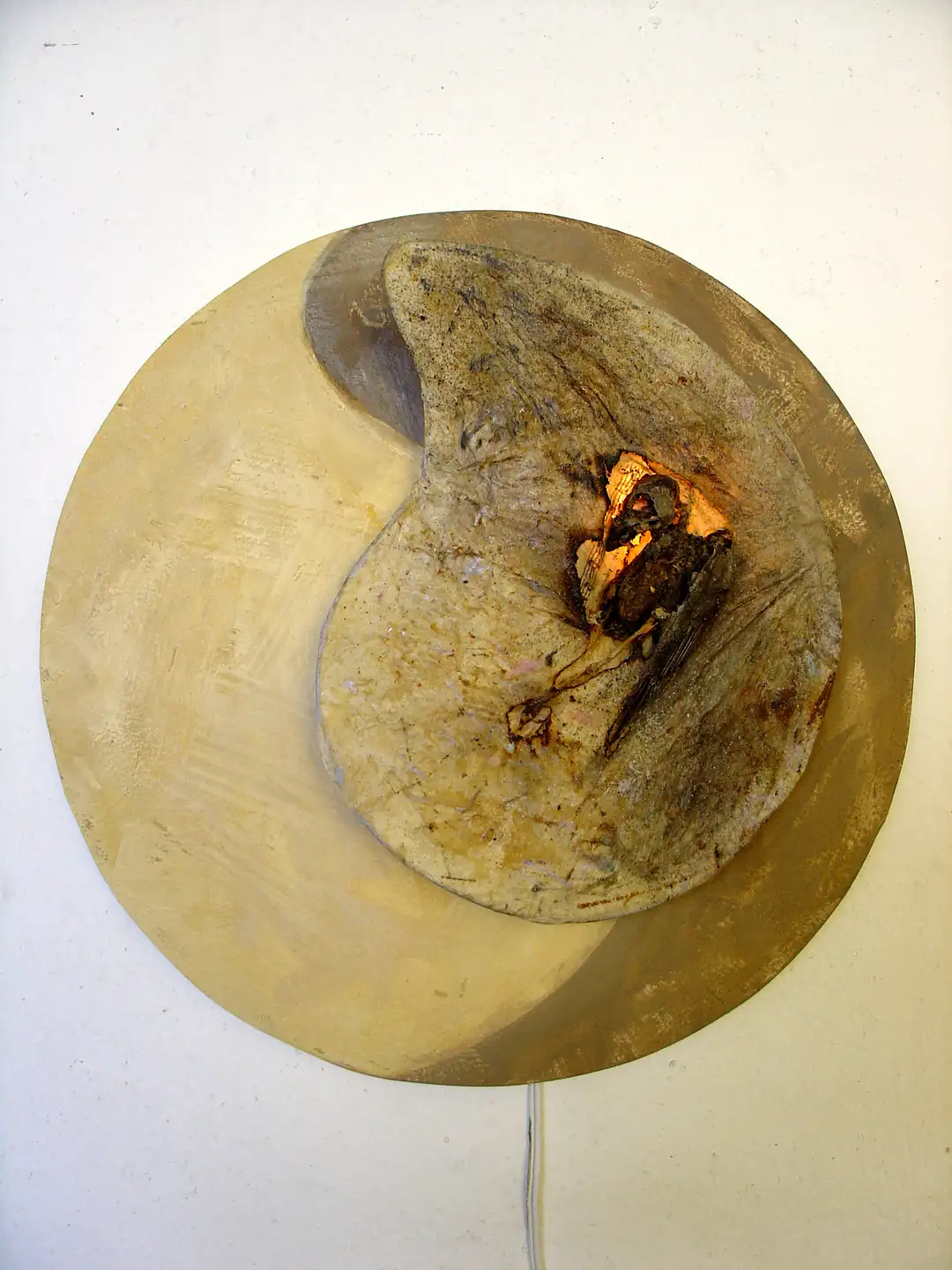 WH_F.ST (rainbird) (2004) -vista 2