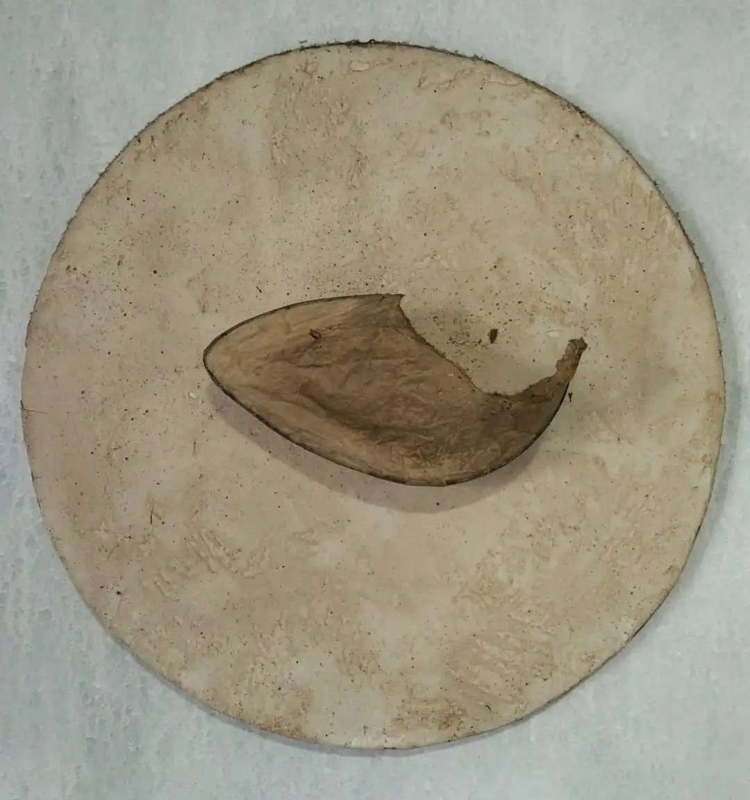 WH_Imagen de WhatsApp 2025-01-21 a las 14.37.57_9acaa6a8