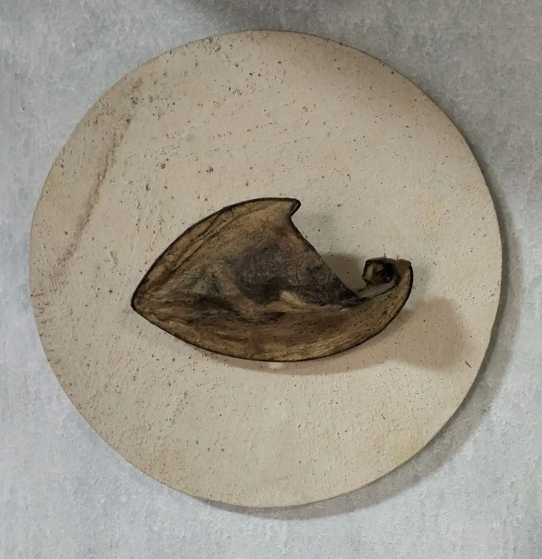 WH_Imagen de WhatsApp 2025-01-21 a las 14.38.12_765d7cd8