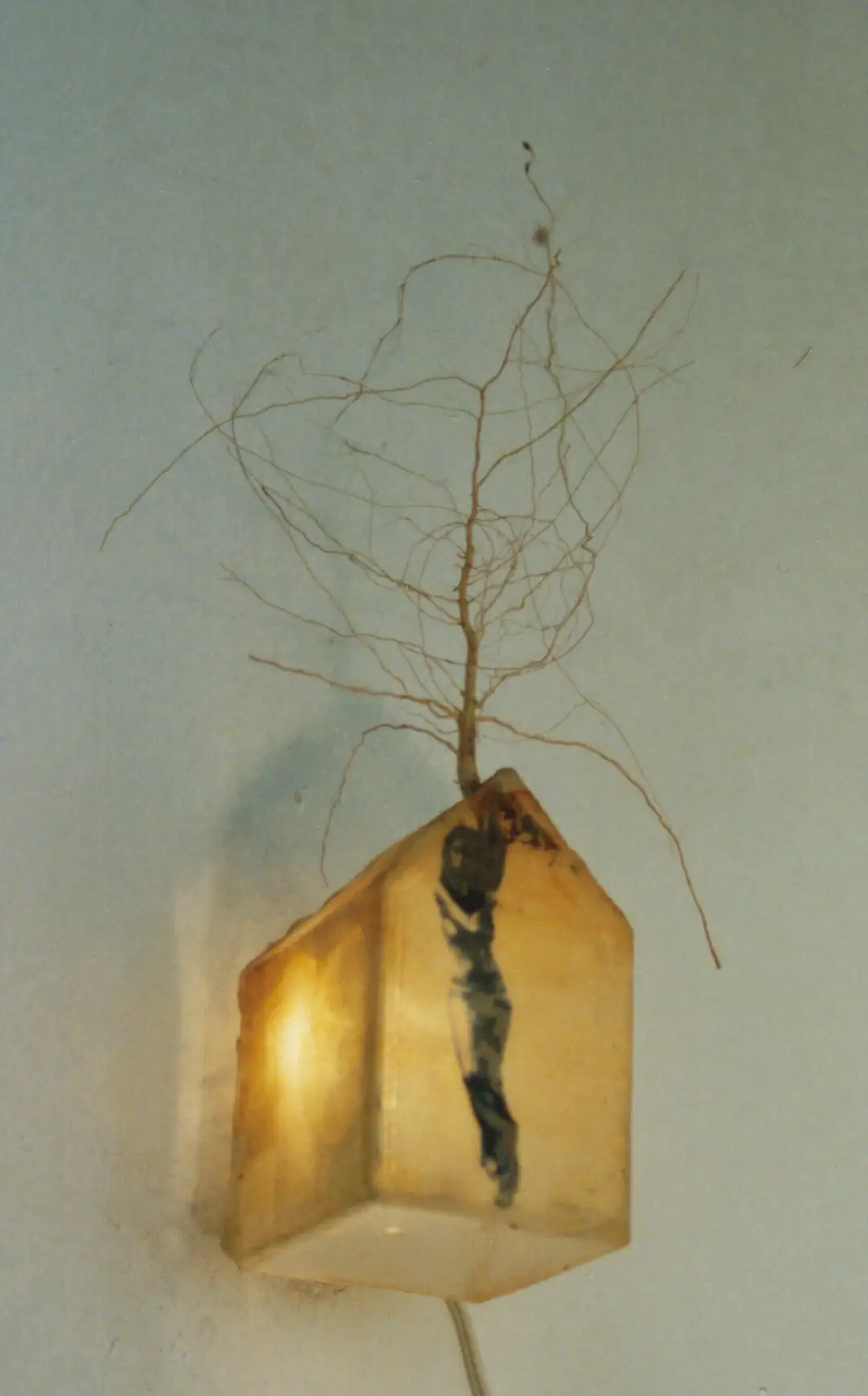 WW_W.(2002).Hogar 1 (2002)a-metacrilato,tela,raíz,luz-25 x 11 x 10 cms.